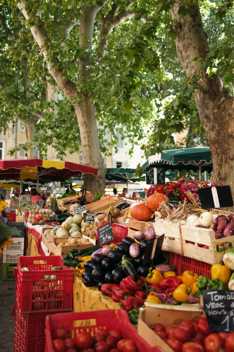 Découvrez la Provence en septembre - image d'illustration
